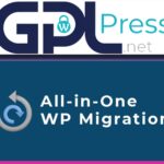 All in One WP Migration Multisite Extension - Network Mobility