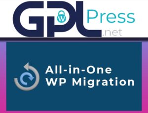 All in One WP Migration Multisite Extension – Network Mobility