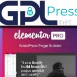 Elementor Pro - The Ultimate Website Builder for WordPress