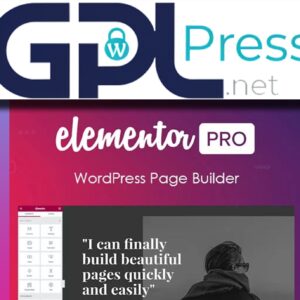 Elementor Pro - The Ultimate Website Builder for WordPress