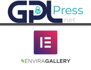 Envira Gallery Pro Elementor Addon – Seamless Visual Integration