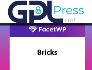FacetWP – Bricks – Advanced Filtering for Bricks Builder