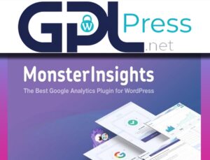 MonsterInsights Pro Google Analytics Premium – Data-Driven Growth