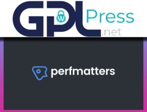 Perfmatters WordPress Plugin – Performance & Speed Optimization