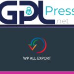 WP All Export – WooCommerce Export Add-On Pro - Advanced Data Control