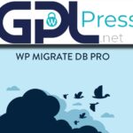 WP Migrate DB Pro - Seamless Database Migration Tool