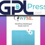 WordPress Multilingual Media Add-On - Complete Translation Tool
