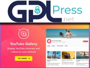 YouTube Plugin – WordPress Gallery for YouTube – Pro Video Display