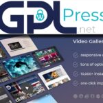 DSZ Video Gallery WordPress Plugin YouTube, Vimeo, Facebook pages - Pro