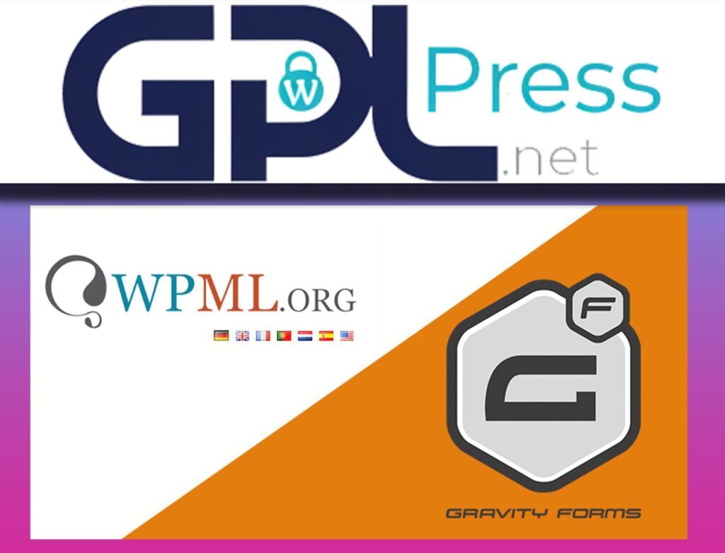 Gravity Forms Multilingual - Professional Translation Bridge