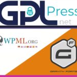 Gravity Forms Multilingual - Professional Translation Bridge