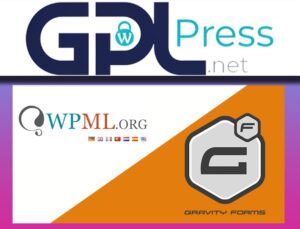 Gravity Forms Multilingual – Professional Translation Bridge