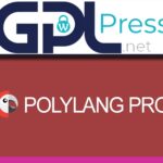 Polylang Pro Great Multilingual Plugin - Advanced Website Translation